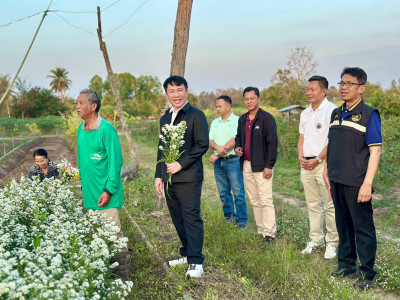 อธิบดีกรมส่งเสริมสหกรณ์ ... พารามิเตอร์รูปภาพ 4