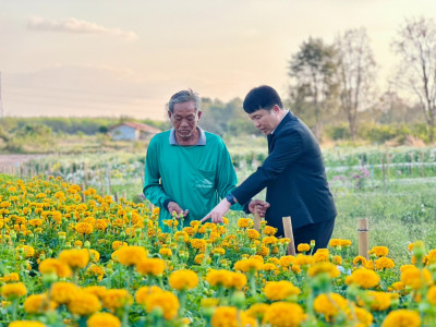 อธิบดีกรมส่งเสริมสหกรณ์ ... พารามิเตอร์รูปภาพ 6