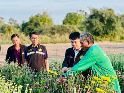 อธิบดีกรมส่งเสริมสหกรณ์ ... พารามิเตอร์รูปภาพ 7