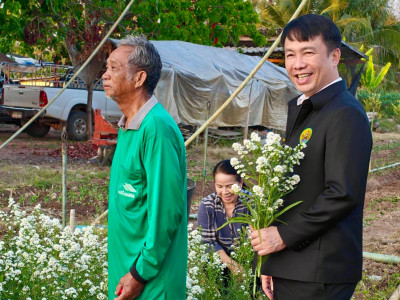 อธิบดีกรมส่งเสริมสหกรณ์ ... พารามิเตอร์รูปภาพ 8