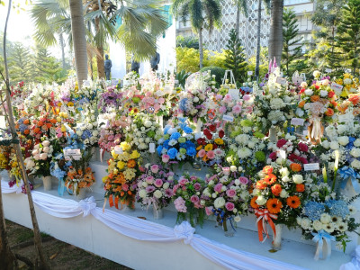 รองอธิบดีกรมส่งเสริมสหกรณ์ ... พารามิเตอร์รูปภาพ 21