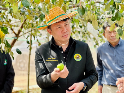 อธิบดีกรมส่งเสริมสหกรณ์ ... พารามิเตอร์รูปภาพ 17