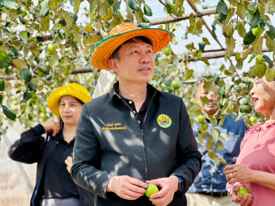 อธิบดีกรมส่งเสริมสหกรณ์ ... พารามิเตอร์รูปภาพ 18