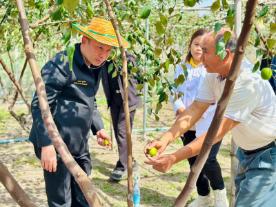 อธิบดีกรมส่งเสริมสหกรณ์ ... พารามิเตอร์รูปภาพ 28