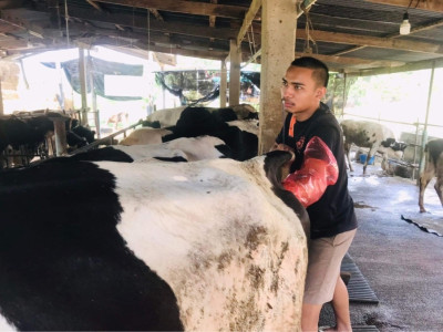 กองทุนพัฒนาสหกรณ์มอบทุนการศึกษาส่งลูกหลานสมาชิกสหกรณ์โคนมเรียนต่อปริญญาตรี สานต่ออาชีพพระราชทาน”เลี้ยงโคนม” ... พารามิเตอร์รูปภาพ 5