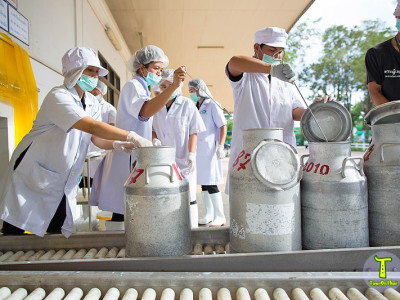 กองทุนพัฒนาสหกรณ์มอบทุนการศึกษาส่งลูกหลานสมาชิกสหกรณ์โคนมเรียนต่อปริญญาตรี สานต่ออาชีพพระราชทาน”เลี้ยงโคนม” ... พารามิเตอร์รูปภาพ 15