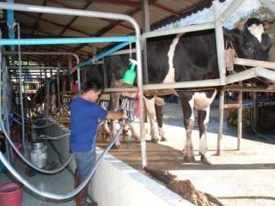 กองทุนพัฒนาสหกรณ์มอบทุนการศึกษาส่งลูกหลานสมาชิกสหกรณ์โคนมเรียนต่อปริญญาตรี สานต่ออาชีพพระราชทาน”เลี้ยงโคนม” ... พารามิเตอร์รูปภาพ 17