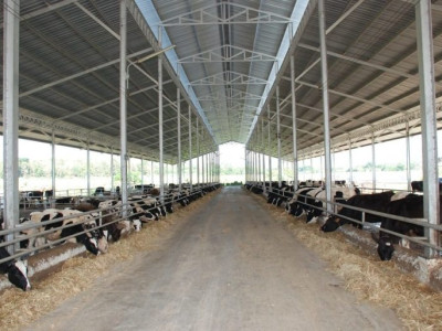 กองทุนพัฒนาสหกรณ์มอบทุนการศึกษาส่งลูกหลานสมาชิกสหกรณ์โคนมเรียนต่อปริญญาตรี สานต่ออาชีพพระราชทาน”เลี้ยงโคนม” ... พารามิเตอร์รูปภาพ 21