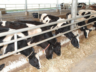 กองทุนพัฒนาสหกรณ์มอบทุนการศึกษาส่งลูกหลานสมาชิกสหกรณ์โคนมเรียนต่อปริญญาตรี สานต่ออาชีพพระราชทาน”เลี้ยงโคนม” ... พารามิเตอร์รูปภาพ 23