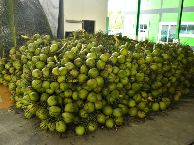 อธิบดีกรมส่งเสริมสหกรณ์ ลงพื้นที่จังหวัดสมุทรสาคร ... พารามิเตอร์รูปภาพ 11