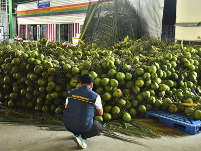 อธิบดีกรมส่งเสริมสหกรณ์ ลงพื้นที่จังหวัดสมุทรสาคร ... พารามิเตอร์รูปภาพ 16