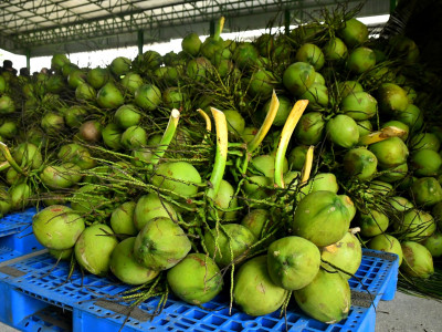 อธิบดีกรมส่งเสริมสหกรณ์ ลงพื้นที่จังหวัดสมุทรสาคร ... พารามิเตอร์รูปภาพ 17