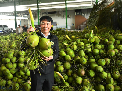 อธิบดีกรมส่งเสริมสหกรณ์ ลงพื้นที่จังหวัดสมุทรสาคร ... พารามิเตอร์รูปภาพ 2