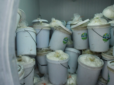 อธิบดีกรมส่งเสริมสหกรณ์ พร้อมด้วย ... พารามิเตอร์รูปภาพ 38