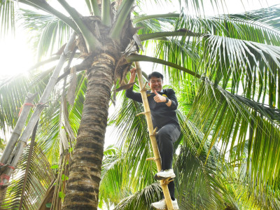 อธิบดีกรมส่งเสริมสหกรณ์ พร้อมด้วย ... พารามิเตอร์รูปภาพ 40