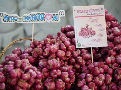 อธิบดีกรมส่งเสริมสหกรณ์ ... พารามิเตอร์รูปภาพ 10