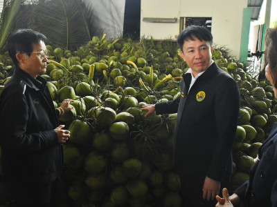 กรมส่งเสริมสหกรณ์ ลุยแก้ปัญหาราคามะพร้าวน้ำหอมตกต่ำ ... พารามิเตอร์รูปภาพ 5