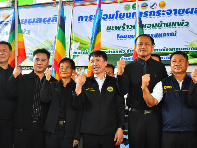 กรมส่งเสริมสหกรณ์ ลุยแก้ปัญหาราคามะพร้าวน้ำหอมตกต่ำ ... พารามิเตอร์รูปภาพ 6