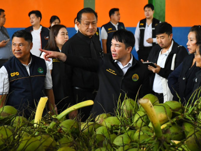 กรมส่งเสริมสหกรณ์ ลุยแก้ปัญหาราคามะพร้าวน้ำหอมตกต่ำ ... พารามิเตอร์รูปภาพ 8