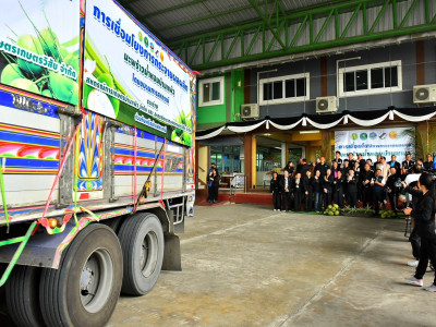 กรมส่งเสริมสหกรณ์ ลุยแก้ปัญหาราคามะพร้าวน้ำหอมตกต่ำ ... พารามิเตอร์รูปภาพ 13