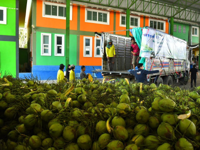 กรมส่งเสริมสหกรณ์ ลุยแก้ปัญหาราคามะพร้าวน้ำหอมตกต่ำ ... พารามิเตอร์รูปภาพ 14