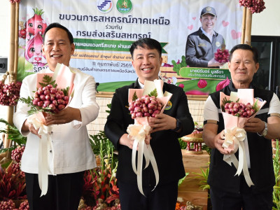 อธิบดีกรมส่งเสริมสหกรณ์ ลงพื้นที่จังหวัดเชียงใหม่ ... พารามิเตอร์รูปภาพ 3