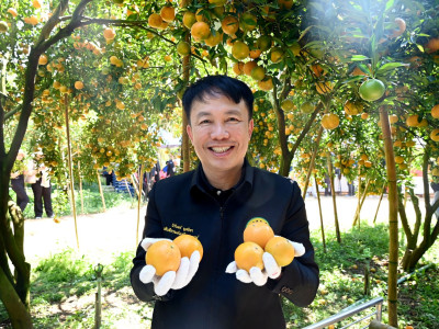 อธิบดีกรมส่งเสริมสหกรณ์ พร้อมด้วย ... พารามิเตอร์รูปภาพ 1