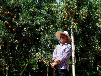 อธิบดีกรมส่งเสริมสหกรณ์ พร้อมด้วย ... พารามิเตอร์รูปภาพ 24