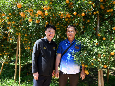 อธิบดีกรมส่งเสริมสหกรณ์ พร้อมด้วย ... พารามิเตอร์รูปภาพ 26