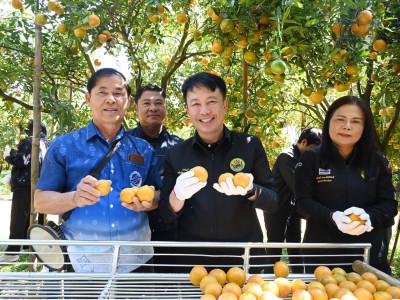 อธิบดีกรมส่งเสริมสหกรณ์ พร้อมด้วย ... พารามิเตอร์รูปภาพ 3