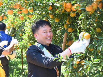 อธิบดีกรมส่งเสริมสหกรณ์ พร้อมด้วย ... พารามิเตอร์รูปภาพ 30