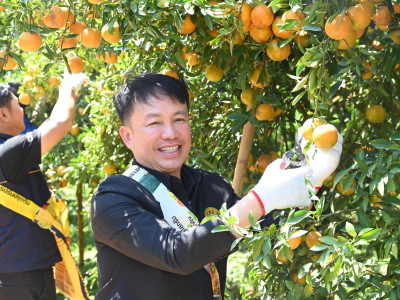 อธิบดีกรมส่งเสริมสหกรณ์ พร้อมด้วย ... พารามิเตอร์รูปภาพ 31