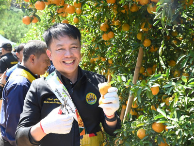 อธิบดีกรมส่งเสริมสหกรณ์ พร้อมด้วย ... พารามิเตอร์รูปภาพ 32