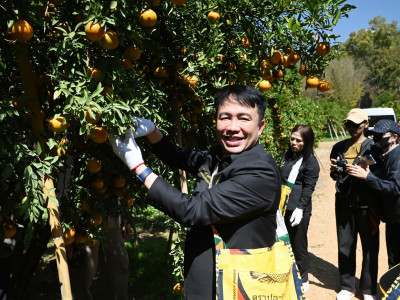 อธิบดีกรมส่งเสริมสหกรณ์ พร้อมด้วย ... พารามิเตอร์รูปภาพ 33