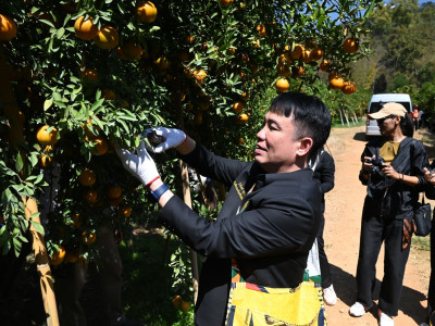 อธิบดีกรมส่งเสริมสหกรณ์ พร้อมด้วย ... พารามิเตอร์รูปภาพ 34