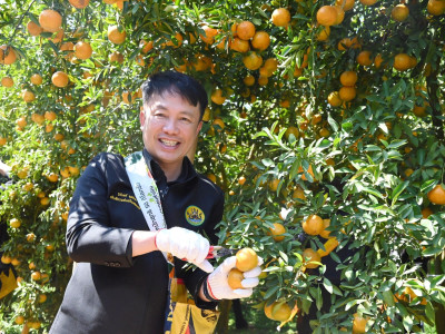 อธิบดีกรมส่งเสริมสหกรณ์ พร้อมด้วย ... พารามิเตอร์รูปภาพ 35