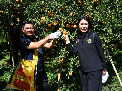 อธิบดีกรมส่งเสริมสหกรณ์ พร้อมด้วย ... พารามิเตอร์รูปภาพ 36