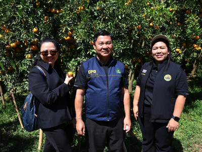 อธิบดีกรมส่งเสริมสหกรณ์ พร้อมด้วย ... พารามิเตอร์รูปภาพ 37