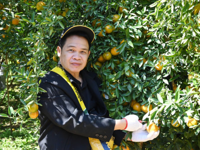 อธิบดีกรมส่งเสริมสหกรณ์ พร้อมด้วย ... พารามิเตอร์รูปภาพ 38