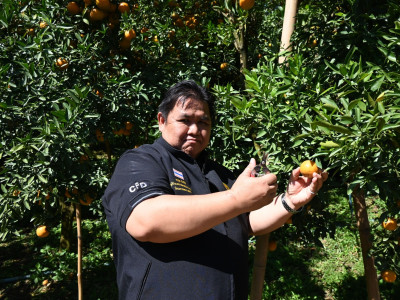 อธิบดีกรมส่งเสริมสหกรณ์ พร้อมด้วย ... พารามิเตอร์รูปภาพ 41