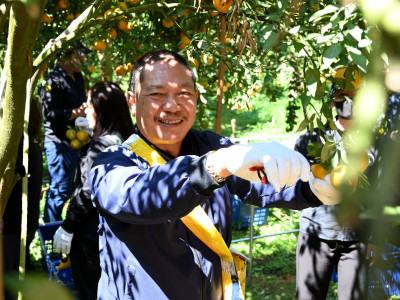 อธิบดีกรมส่งเสริมสหกรณ์ พร้อมด้วย ... พารามิเตอร์รูปภาพ 42