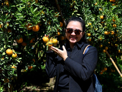 อธิบดีกรมส่งเสริมสหกรณ์ พร้อมด้วย ... พารามิเตอร์รูปภาพ 46