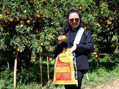 อธิบดีกรมส่งเสริมสหกรณ์ พร้อมด้วย ... พารามิเตอร์รูปภาพ 47