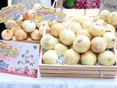 อธิบดีกรมส่งเสริมสหกรณ์ ... พารามิเตอร์รูปภาพ 19