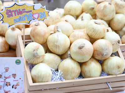 อธิบดีกรมส่งเสริมสหกรณ์ ... พารามิเตอร์รูปภาพ 20