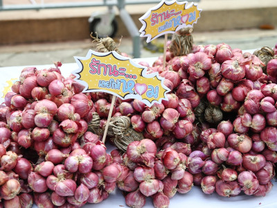 อธิบดีกรมส่งเสริมสหกรณ์ ... พารามิเตอร์รูปภาพ 21