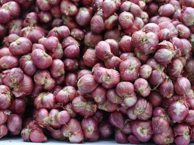 อธิบดีกรมส่งเสริมสหกรณ์ ... พารามิเตอร์รูปภาพ 23