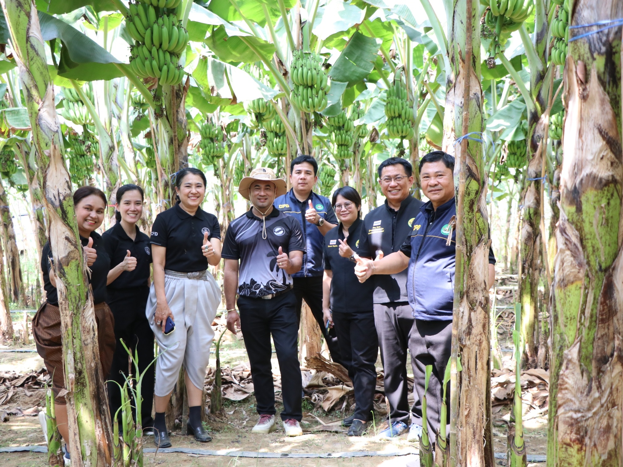 รองอธิบดีกรมส่งเสริมสหกรณ์ ... พารามิเตอร์รูปภาพ 1