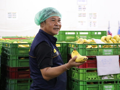 รองอธิบดีกรมส่งเสริมสหกรณ์ ... พารามิเตอร์รูปภาพ 10