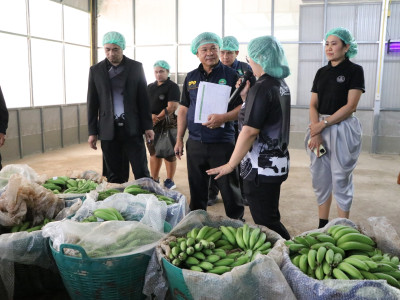 รองอธิบดีกรมส่งเสริมสหกรณ์ ... พารามิเตอร์รูปภาพ 22